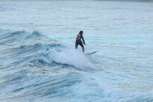 young athletes practising the water sport of surfing photo