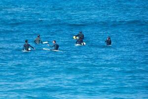 Surfers riding small ocean waves photo