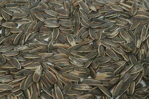 Sunflower seeds texture background. photo