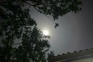 Moon Halo landscape photo