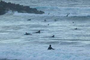 Surf school on an ocean beach photo