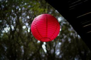 Red lantern with blurred trees background photo