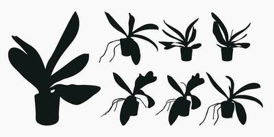 Flower realistic plant pot silhouette vector set. Orchid, phalaenopsi