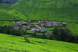 Remote village in the middle of a tea plantation shrouded in mist in the morning photo