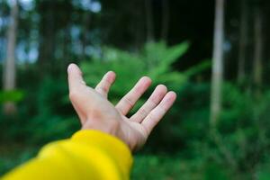 explorador masculino mano en un verde lluvioso bosque. foto