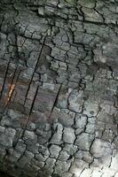 Burned wood background. photo