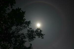 Moon Halo landscape photo