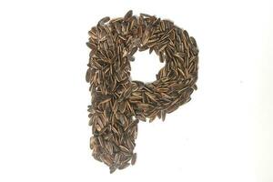 Alphabet made from Sunflower Seeds photo