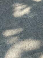 Leaves shadow background on concrete wall texture, leaves tree branches shade photo