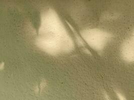 Leaves shadow background on concrete wall texture, leaves tree branches shade with sunlight photo