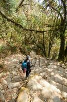 un joven viajero trekking en bosque sendero , Nepal foto