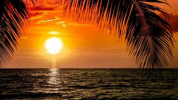 Beautiful sunset tropical beach with palm tree on sky for travel and vacation photo