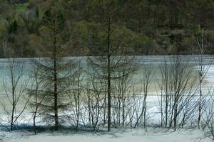 un lago contaminado con tóxico residuos en el occidental montañas de Rumania. naturaleza contaminación desde cobre mío. ecológico catástrofe o ambiental desastre foto