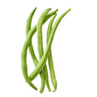 Beans in pods. png