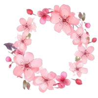 Sakura flower background. png