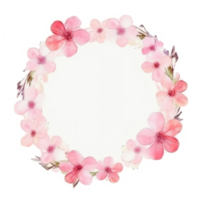 Sakura flower background. png