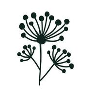 Doodle outline dill flower isolated on white background. Simple vector floral icon. Logo design element. Botanical leaves and branches.