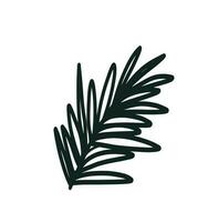 Doodle outline rosemary branch isolated on white background. Simple vector floral icon. Logo design element. Botanical leaves and branches.