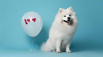 Cute Samoyed dog and balloon in shape of word LOVE on light blue background, photo