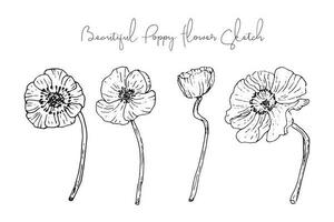 Aesthetic Spring Flower Sketch Collection vector