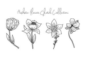 Aesthetic Spring and Summer Flower Sketch Collection vector