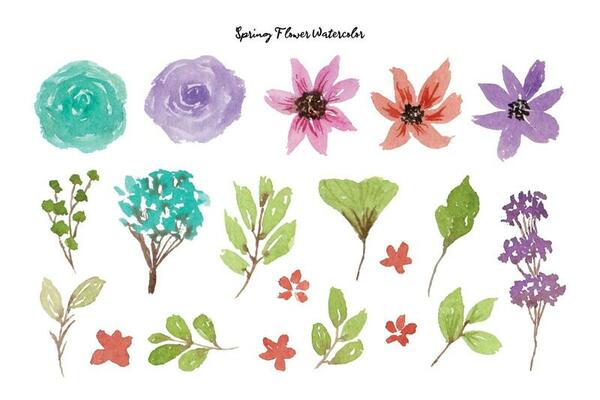 Beautiful Flower and Leaf Watercolor Collection