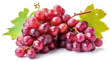 Ripe red grape. Pink bunch with leaves isolated on white. With clipping path. Full depth of field, photo