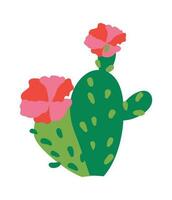 Succulent cactus with blooming flower on top vector