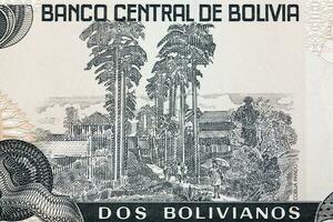 Trees and buildings from Bolivian money photo