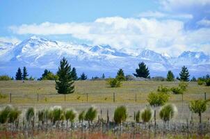 Near Mt. Cook, South Island, New Zealand photo