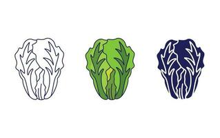 Chinese cabbage vector icon