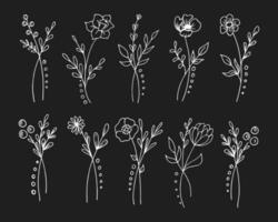 Hand drawn outline flowers, set. Sketch, botanical icons, vector