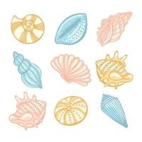 Set of sea shells in pastel colors on a white background. Decor elements, vector