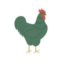 Rooster walks. Colorful vector hand drawn. Poultry