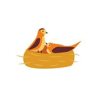 Twisted nest, two birds male and female. Vector cartoon