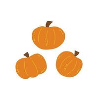 Set of pumpkins doodle. Harvesting. Vector isolated gourd