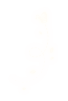 Glowing butterfly with dotted trail line. Abstract spring design element. png