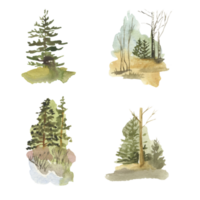 Set of watercolor spring trees on transparent background png