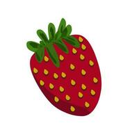 Fresh Strawberry fruit Illustration on White Background vector