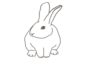 icon bunny rabbit png