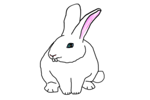 icon bunny rabbit png