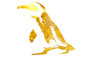 Bewegung von süß Pinguin png