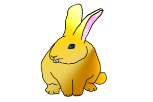 icon bunny rabbit png