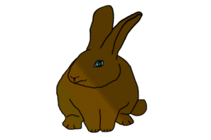 icono conejito Conejo png