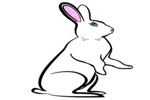 Icon cute bunny rabbit png