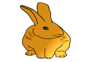 icon bunny rabbit png