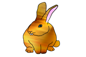 icon bunny rabbit png