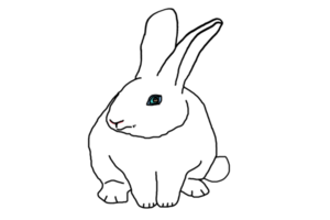 Symbol Hase Hase png