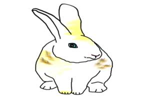 icon bunny rabbit png