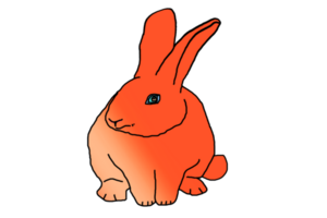 icono conejito Conejo png